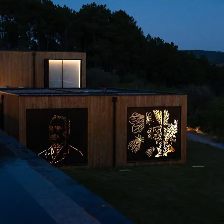 Five Senses * Sabrosa