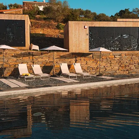 Five Senses Проживание в семье *