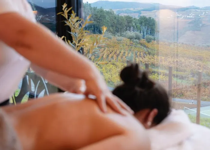 Проживание в семье Five Senses